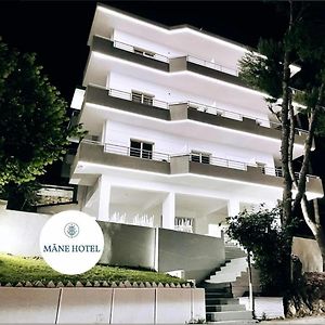Hotel Mane
